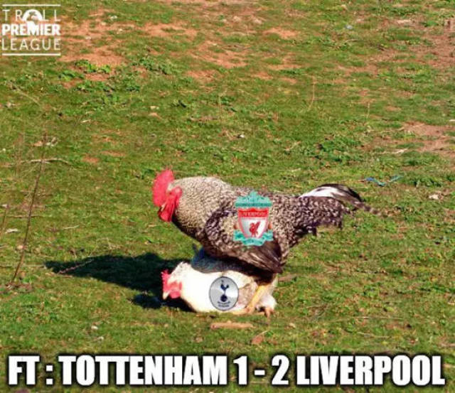 布达佩斯奇迹之夜，“新罗比-基恩”归位！